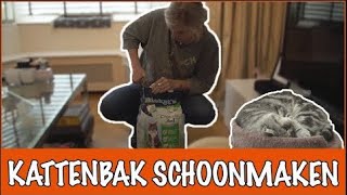 IEUW De kattenbak verschonen  DierenpraatTV [upl. by Llehcam]