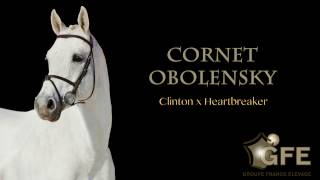 CORNET OBOLENSKYGFE 2017 [upl. by Amol171]