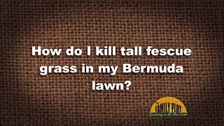 QampA – How do I kill fescue in my Bermuda lawn [upl. by Vaasta]