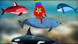 Magic Hand Makes 10 Whales So Cute  Ten Baby Whales  Song For Kids [upl. by Nifled]