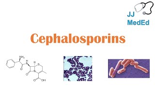 Cephalosporin Antibiotics 1st to 5th Generation Mechanism Side Effects and Bacterial Targets [upl. by Asehr]