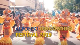 Alfonso ORGANIKO Festival 2019 [upl. by Gaiser]