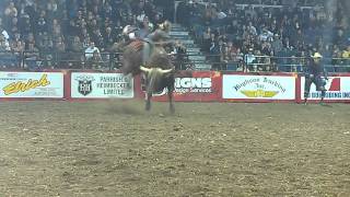 Lachlan Richardson 87 on Krackin F4 Lethbridge AB PBR Canada 12 SG [upl. by Myer]