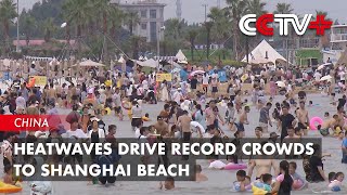 Heatwaves Drive Record Crowds to Shanghai Beach [upl. by Adnohral]