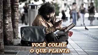 VOCÊ COLHE O QUE PLANTA UMA LINDA REFLEXÃO DE VIDA veja motivação reflexão foco [upl. by Lawan588]