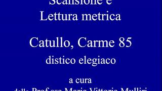 Scansione e lettura metrica Catullo Carme 85 [upl. by Rape585]