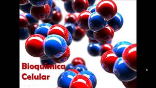 Bioquímica celular parte 2 [upl. by Lartnom]