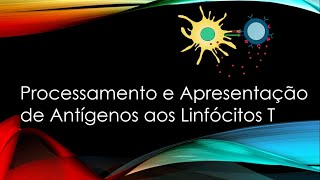 Processamento e Apresentação de Antígenos aos Linfócitos T  Ativação das células T  MHC [upl. by Brandenburg]