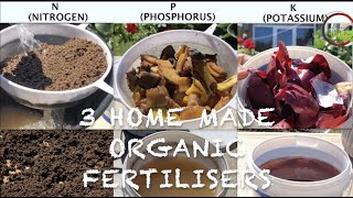 How to make  3 Homemade ORGANIC FERTILISERS in 4 minutes  NPK  Homemade Fertilizer  100 results [upl. by Nadabas999]