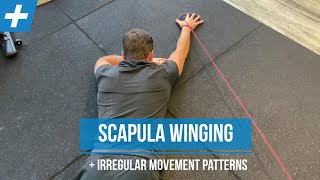 Exercises for Scapula Winging and Irregular Shoulder Movement  Pt 2  Tim Keeley  Physio REHAB [upl. by Meuse]