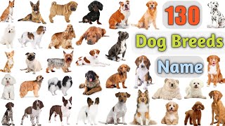 Dog Breeds Vocabulary ll 130 Dogs Breeds Names In English With Pictures ll 100 Popular Dogs [upl. by Warila]