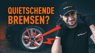 Warum quietschen Ihre Bremsen  Tipps von AUTODOC [upl. by Nauqe]