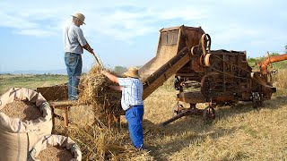 MAQUINARIA AGRÍCOLA tradicional Exhibición y evolución en la recolección de cereales  Documental [upl. by Allemap]