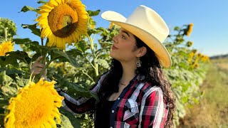 Sembradio de Girasoles 🌻🤠 [upl. by Reginauld]