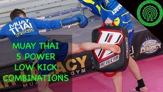 Muay Thai 5 Pad Work Combinations to set up Power Low Kicks Tutorial [upl. by Tootsie]