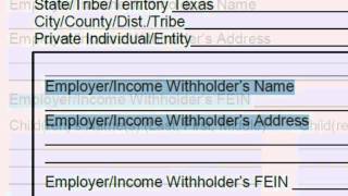 Income Withholding For Support Order [upl. by Tteragram517]