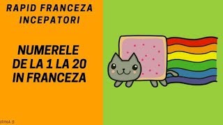 Franceza pentru incepatori2018  Numere in franceza de la 1 la 20 [upl. by Gardener]