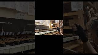 Leveling keys on a Steinway grand piano piano restoration steinway steinwaypiano timelapse [upl. by Carmela]