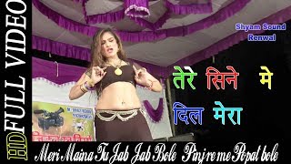 Meri Maina Tu Jab Jab Bole Pinjre me Popat bole मेरी मैना तू जब जब बोले पिंजरे में पोपट बोले [upl. by Gauntlett230]