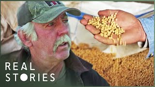 The Farmer Who Took On Monsanto David Vs Goliath Documentary  Real Stories [upl. by Akfir]