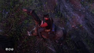 Sooty Buckskin Dutch Warmblood Holding its Nerve vs Cougar  Red Dead Redemption 2 [upl. by Keligot978]