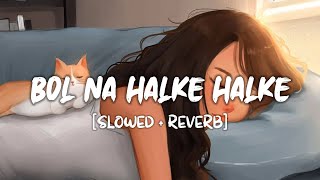 Bol Na Halke Halke SlowedReverb Song Lyrics  Jhoom Barabar [upl. by Simonette]