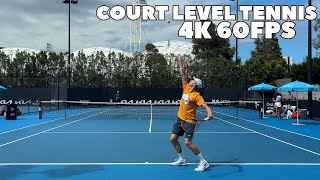 Denis Shapovalov Court Level Practice 2024  Groundstrokes amp Serves 4K 60FPS [upl. by Jacobine]