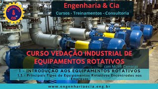 13 Principais Tipos de Equipamentos Rotativos Encontrados nas Empresas  VEDAÇÃO IND P EQ ROTATIVO [upl. by Edward525]