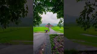 Uthralikavu uthralikavu tredingshorts tredingshorts malayalam travel mazha keralamonsoon [upl. by Cornwall37]