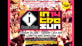 DJ HYPE EXCLUSIVE SET IC3  INNOVATION IN THE SUN 2014 [upl. by Nyletac]