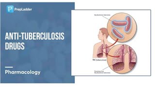 Anti Tuberculosis Drugs [upl. by Rosina]