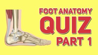 Foot and Ankle Quiz Part 1  Human Anatomy and Physiology [upl. by Aicelet]