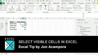 Select Visible Cells in Excel  Excel Tips and Shortcuts [upl. by Eojyllib]