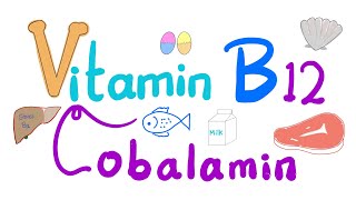 Vitamin B12 Cobalamin 🐚 🥩 🐠  Most Comprehensive Explanation [upl. by Itsuj136]