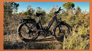 Lankeleisi MG600 Plus 2024 best electric fat bikes [upl. by Nunci]