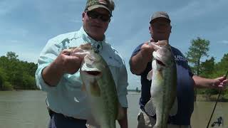 Bass Fishing at Sardis Lake [upl. by Aleetha]