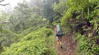 Hawaii Backpacking Muliwai trail into Waimanu Valley [upl. by Eiramac]