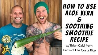 How to Use Aloe Vera amp Soothing Smoothie Recipe w Brian Calvi from Farm of Life Costa Rica [upl. by Halimeda]