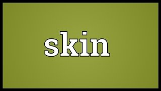 Skin Meaning [upl. by Alemaj334]