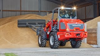 Weidemann – Radlader 4080LP Getreide aufschieben [upl. by Aicats]