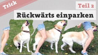 Rückwärts einparken  Teil 2 Hund Tricks beibringen Hundetrick Hundetraining Hundetricks [upl. by Chastain710]