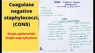 COAGULASE NEGATIVE STAPHYLOCOCCI [upl. by Thurber]