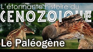 Le paléogène  Cénozoïque 1  Paléontologie  Simplex Paléo [upl. by Rod]