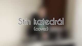 Stín katedrál cover  Tommo Walker [upl. by Rizzi]