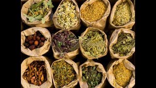 The Secrets Of Herbal Medicine  Best Documentary Of All Time [upl. by Ysabel]