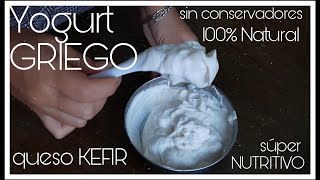 Como hacer Yogurt GRIEGO queso kéfir en casa  con búlgaros de leche  Vanesa Marquez [upl. by Yetac5]