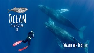 Ocean Film Festival  UK Tour Trailer  2016 [upl. by Kalil243]