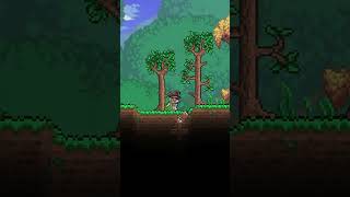 That one Terraria player who uses buffs [upl. by Raimondo88]