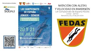 24 LIII Campeonato de España FEDAS Natación con Aletas y Velocidad Inmersión júniorsénior [upl. by Ernesta]