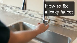 How to Fix A Leaky Faucet  SingleHandle Faucet by Kohler By Best Plumbing 206 6331700 [upl. by Mcnelly]